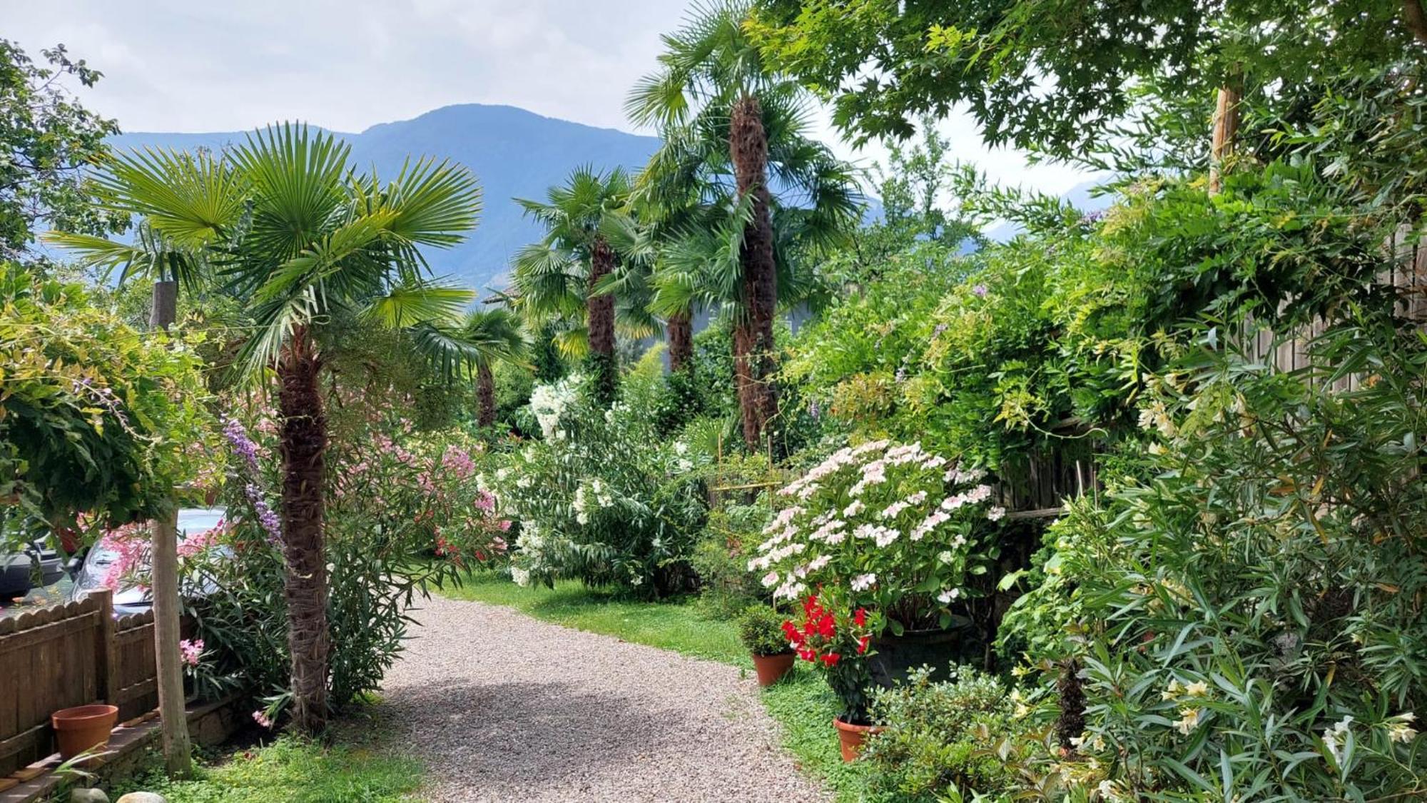 Nora S Home 1 - Panoramic Terrace & Bio Garden Merano Eksteriør billede